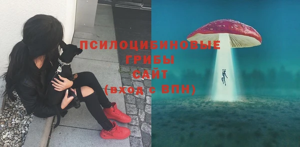 MESCALINE Покачи