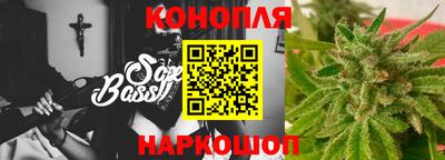 эйфоретик Гай