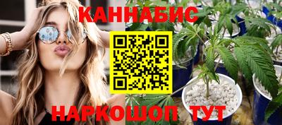 эйфоретик Гай