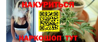 эйфоретик Гай